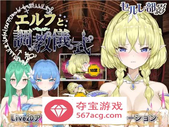 【调教互动SLG全动态】精灵的调教儀式 DL官方正式完整版+存档【新作2.2G】-萌盟