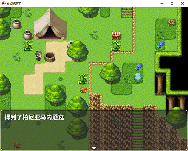 图片[2]-你被驱逐了 官方中文作弊版 PC+安卓 RPG游戏 1.2G-萌盟