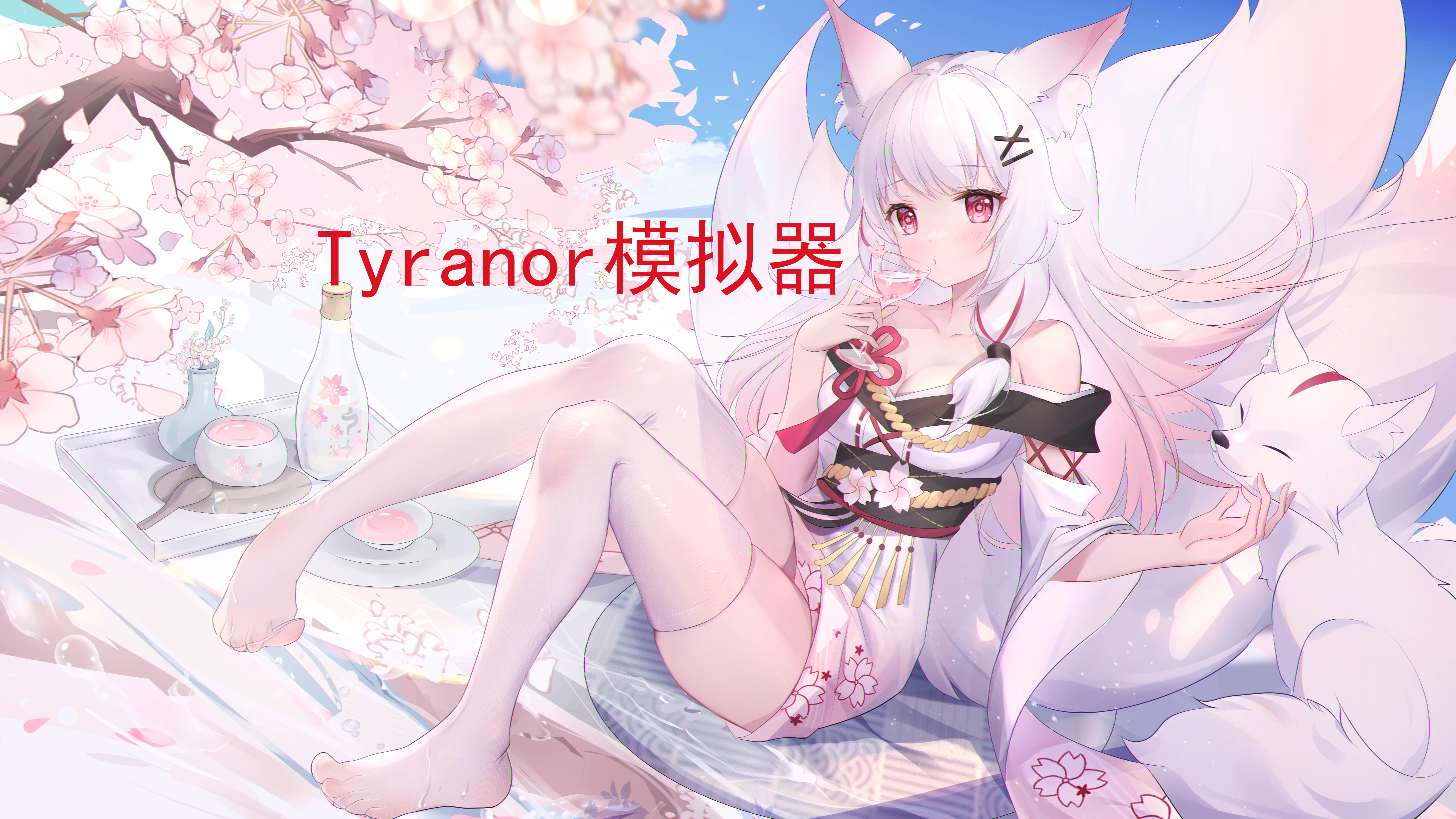 Tyranor模拟器使用教程-萌盟